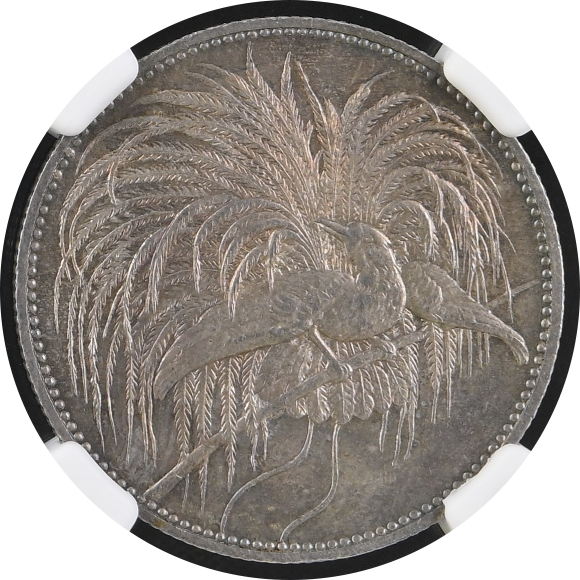 1894A G.N.GUINEA 2M
