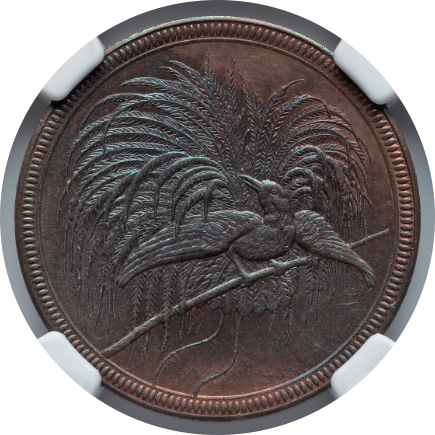 1894A G.N.GUINEA 10P image